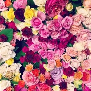 Meet your Posher, Lorenia